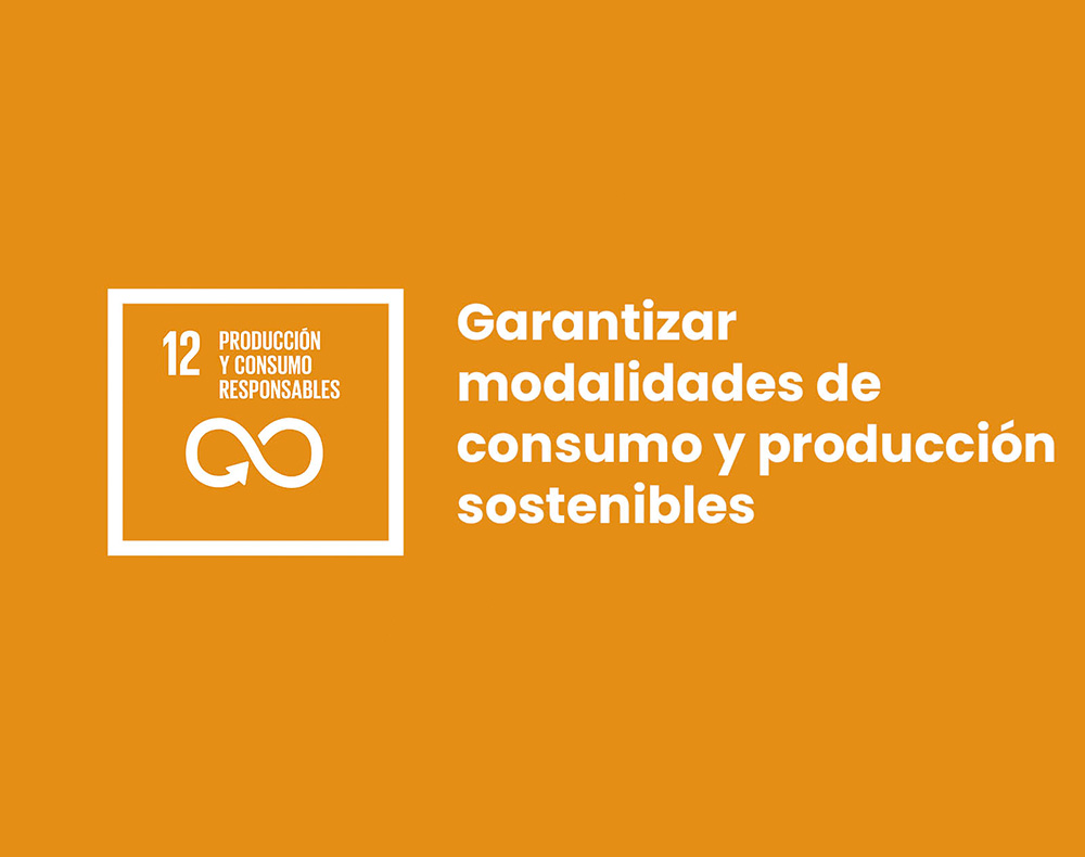 Consumo y producción sostenible